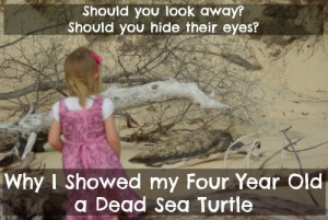 Why I Let My Four Year Old See a Dead Sea Turtle