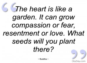 the heart is like a garden buddha