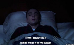 Sheldon Quotes MEME 2015