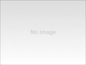 Taz-Mania: Who Let The Taz Out Season One Part Two (Dvd) Dvd from ...