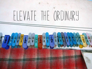Elevate the Ordinary #quote