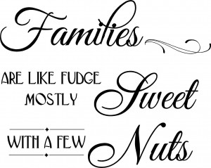 Families are like fudge mostly sweet with a few nuts ~22