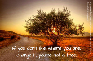 If you don’t like where you are, change it; you’re not a tree.