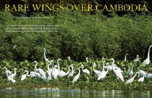 copy of some media documents is available to our members and donors ...