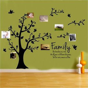 Details about Family Tree Wall Sticker Quote Roots Birds Mural Art ...