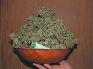 It'z a marijuana world!!!