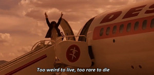 Top 10 funny gifs about Fear and Loathing in Las Vegas quotes