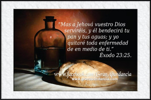 frases de tranquilidad y paz