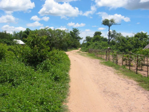 For years, I’ve collected famous sayings/quotes in a little word doc ...