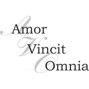 ... Tattoo Quotes, Quotes Amor, Love Latin Tattoo, Latin Tattoo Sayings