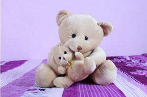 Girlfriend's Christmas Gift 40CM Doll Stuffed Animal Cute Teddy ...