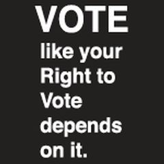 Your Right To Vote