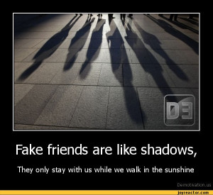Fake friends are like shadows,They only stay with us while we walk in ...