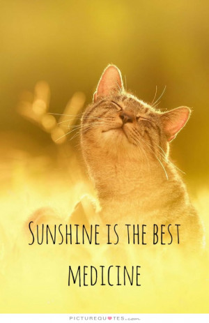 Medicine Quotes Sunshine Quotes Sun Quotes