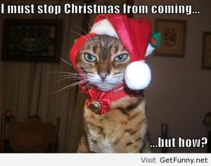 funny animals, funny pics, funny pictures, funny quotes, funny sayings ...