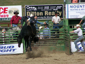 displaying images for rodeo quotes