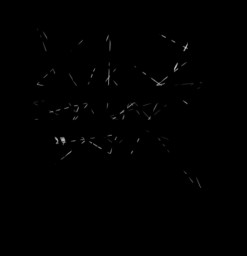 ... quotes If the world ends in 2012, I've wasted my whole life in school