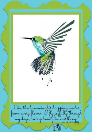 Hummingbird quote via Living Life at www.Facebook.com/KimmberlyFox.39