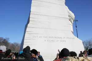 Love Birds Visit the MLK, Jr. Memorial in Washington, D.C.