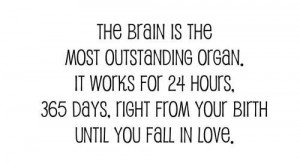Brain + Love = Not Working