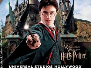 Harry Potter-style invisibility cloak developed - The Economic Times