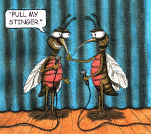 Related Pictures funny mosquito sayings jokes for facebook student ...