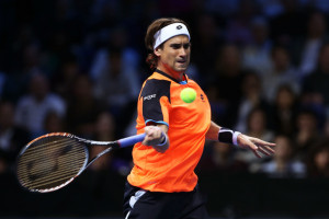 David Ferrer Photos: Picture Gallery of Strokes