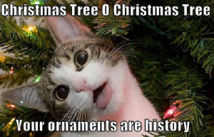 ... kitty gets a hold of your Christmas tree, your ornaments are history