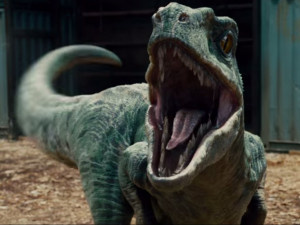 the-velociraptors-in-the-jurassic-park-movies-are-nothing-like-their ...