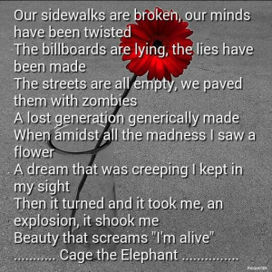Cage the Elephant quote from the song Tiny Little Robots. #quotes # ...