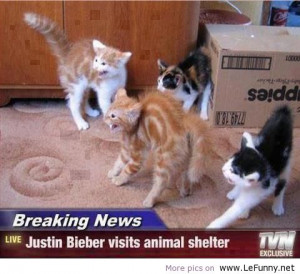 Added: Dec. 3, 2012 | Image size: 480 x 439 px | More from: lefunny ...