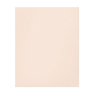 Beige Peach Fashion Color Trend 2014 Custom Blank Canvas Prints