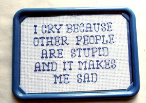 Big Bang Quote Framed Cross Stitch Magnet by SnarkyLittleStitcher, $9 ...