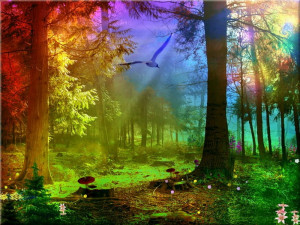 3d abstract Rainbow Forest Abstract Fantasy HD Wallpaper