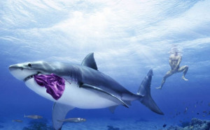 1440x900 ocean funny sharks 1024x768 wallpaper download