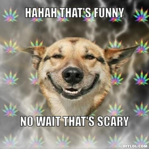 Resized_stoner-dog-meme-generator-hahah-that-s-funny-no-wait-that-s ...
