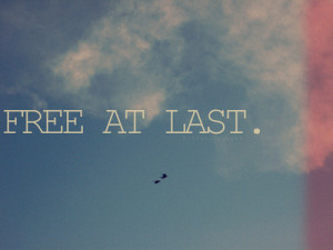 image quotes typography sayings free at last free freedom birds sky ...