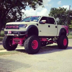 Yes its a ford but.... Its PINK :)