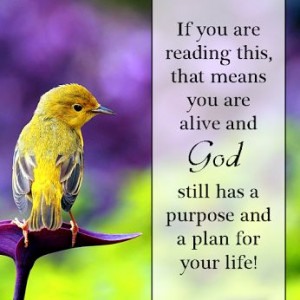 Knowing Jesus - Community - Google+