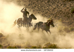 Cowboy galloping and roping wild horses through the desert - stock ...