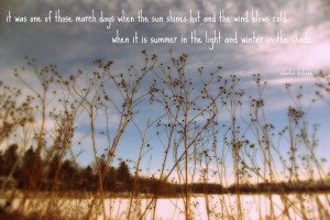 Mixed Emotion Quotes