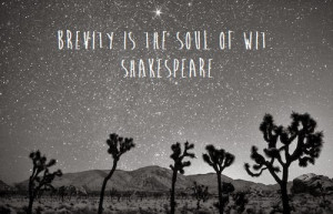 Brevity Quotes