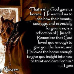 Funny Horse Quotes and Sayings