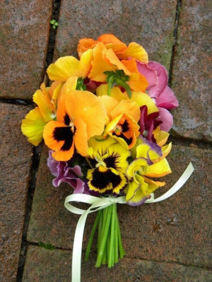 Lovely Pansy's Perfect for a wedding