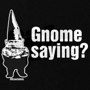 gnome_saying_hoodie_dark.jpg?color=Black&height=460&width=460 ...