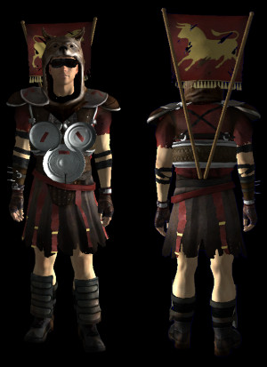 Legion vexillarius armor