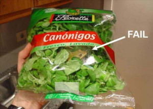 frog sealed in lettuce bag