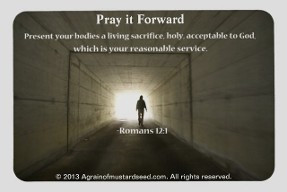 Shop impeccably authentic Christian products, apparel, gifts and ...