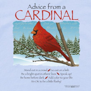 Advice from a Cardinal