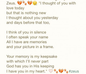 miss my dog! Zeus
